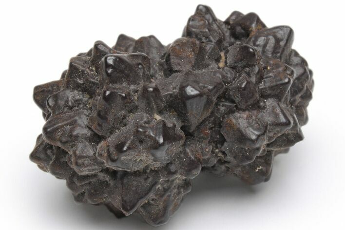 Goethite (Limonite) Pseudomorph after Pyrite/Marcasite - Egypt #219746